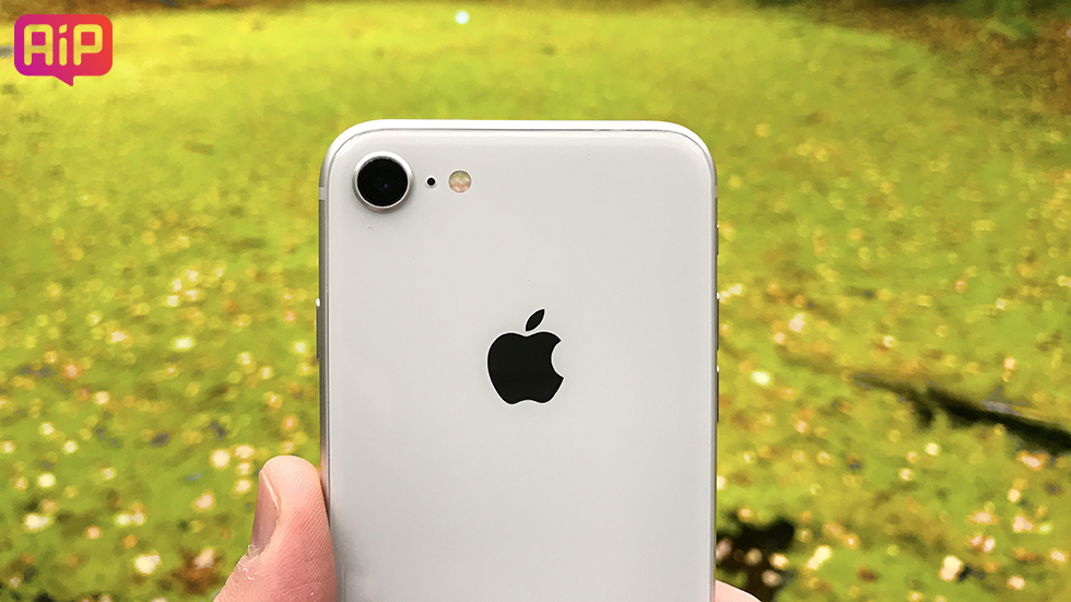 Какой цвет iPhone 8 или iPhone 8 Plus выбрать