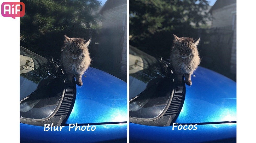 Размытие фона с Blur Photo и Focos